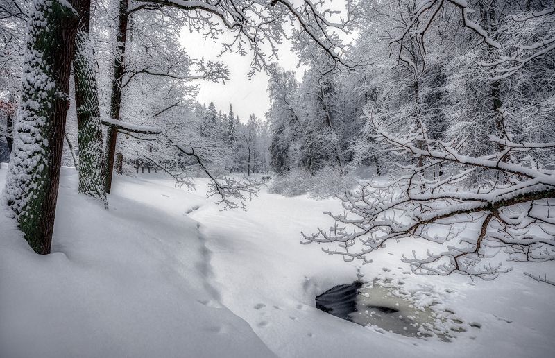 павловск зима январь снег снегопад река Снежный январьphoto preview