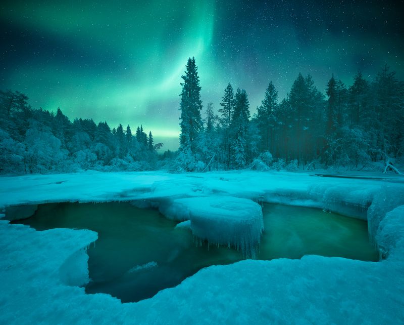 кольский полуостров, кольский, зима, winter, snow, kola peninsula, forest, aurora borealis In the nightphoto preview
