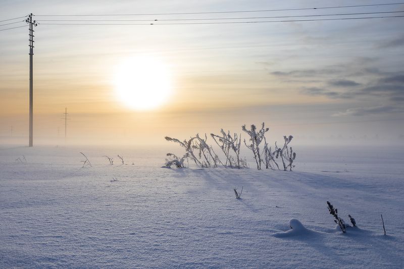 пейзаж, природа, день, зима зимний деньphoto preview