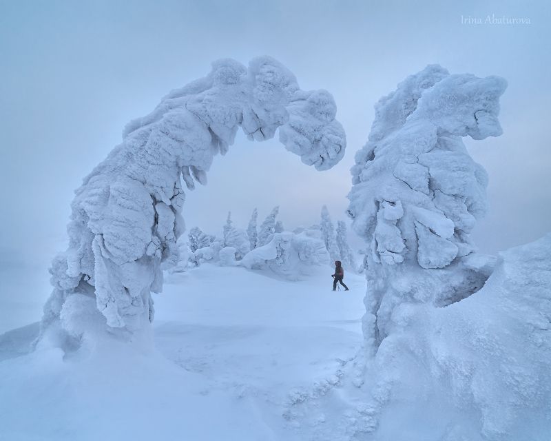 зима, урал, север, снег, ветер, сугроб, гух, главный уральский хребет На перевалеphoto preview