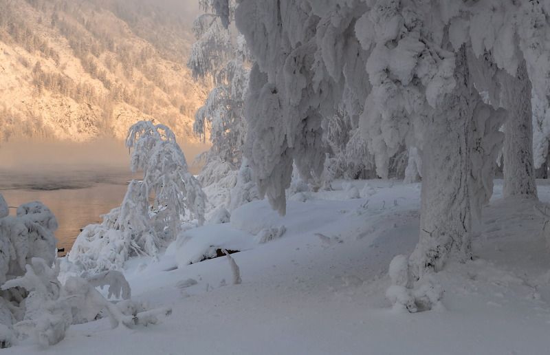 мороз, иней, сибирь. Сибирская зимаphoto preview