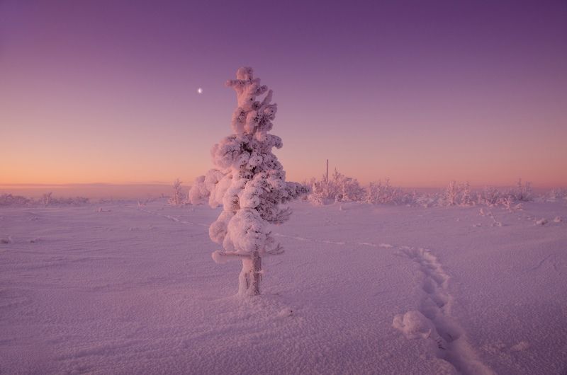 Канун полярной ночиphoto preview