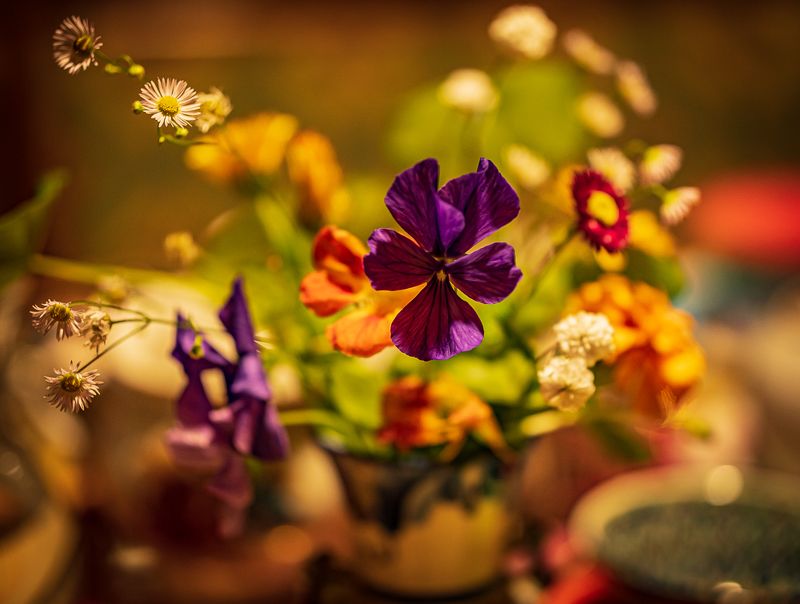 Цветы на столе