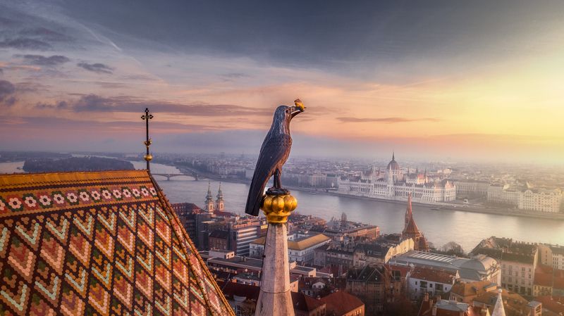 Будапешт Ворон с кольцомphoto preview