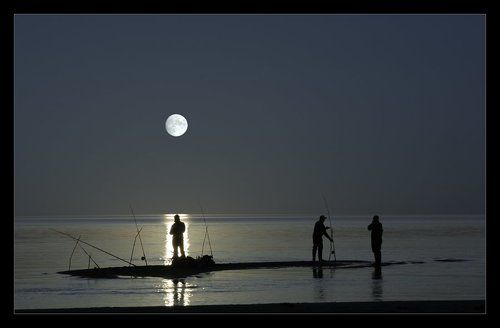 Moonlight Fishing