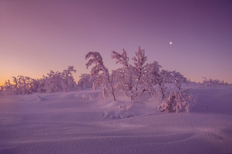 Канун полярной ночиphoto preview