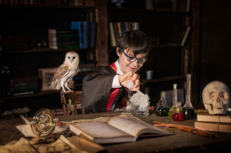 гарри поттер хогвартс школа магии Урок зельеваренияphoto preview