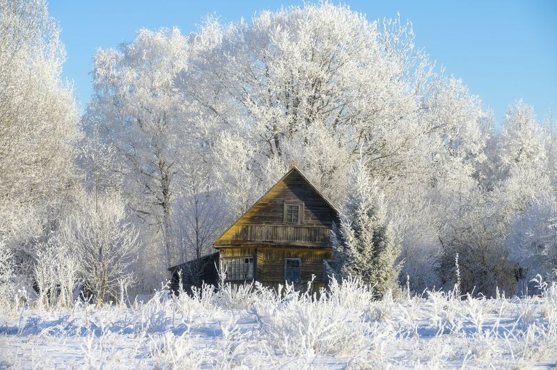 псков, пейзаж, Зима в деревне.photo preview