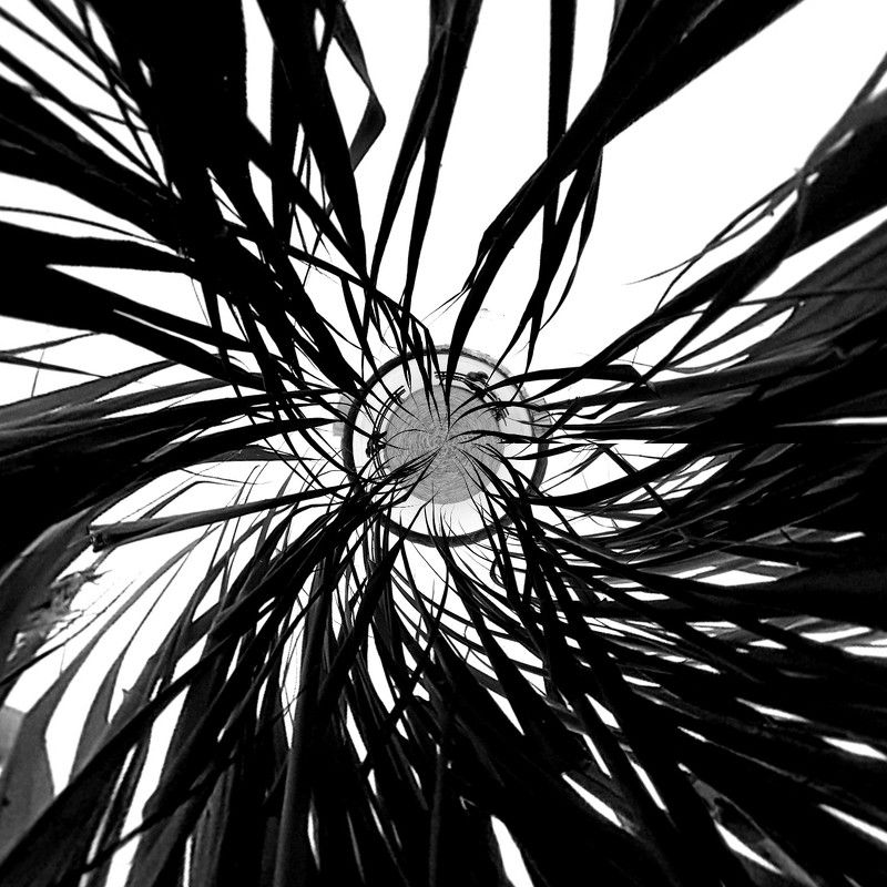 grass, abstract, b&w, art photo preview