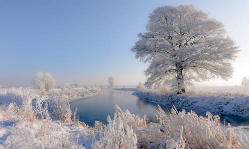 The natural beauty of winter