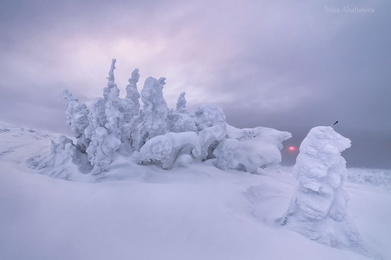 зима, урал, север, снег, ветер, сугроб, гух, главный уральский хребет, деревья Рассвет на перевалеphoto preview