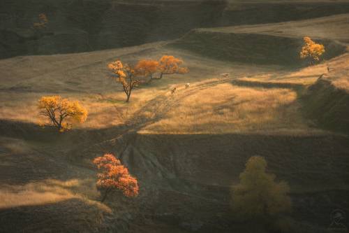 Осенняя идиллия Дагестана