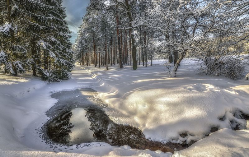 царское село пушкин екатерининский парк зима январь снег мороз В зимнем паркеphoto preview