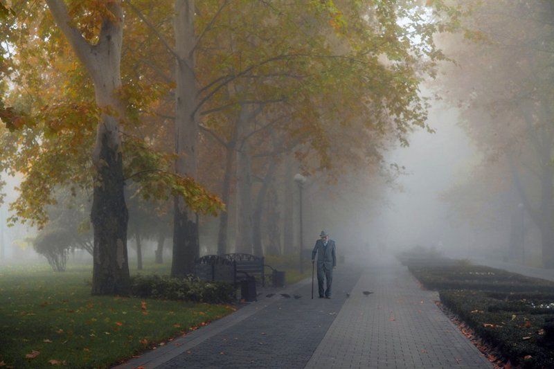 осень, туман, аллея, сквер, старик Инсталляция одиночестваphoto preview