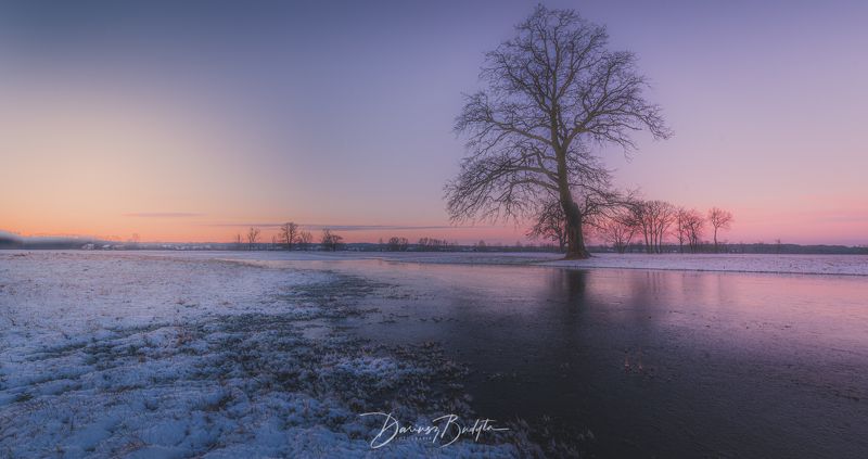 Winter dawnphoto preview