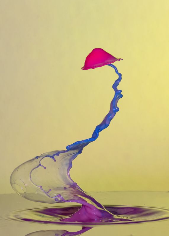 waterdrop,abstract,liquid,art,nft,liquidverse windy dropsphoto preview