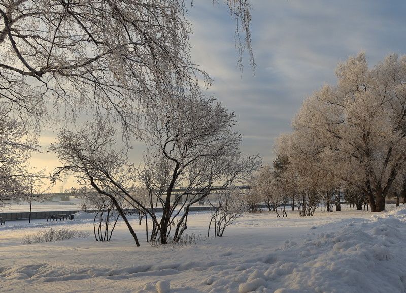 зима,парк,новосиюирск,вечереет,деревья Прогулка в январеphoto preview