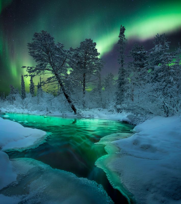 кольский полуостров, кольский, зима, winter, snow, kola peninsula, forest, aurora borealis Magic nightphoto preview