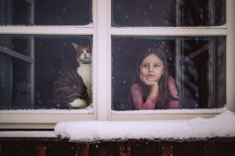 Рождественское время, christmas, девушка, girl, kids, ребенок, cat, winter, snow Waitingphoto preview