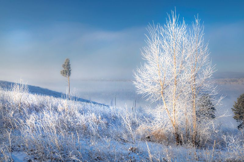 Морозное утро с туманомphoto preview