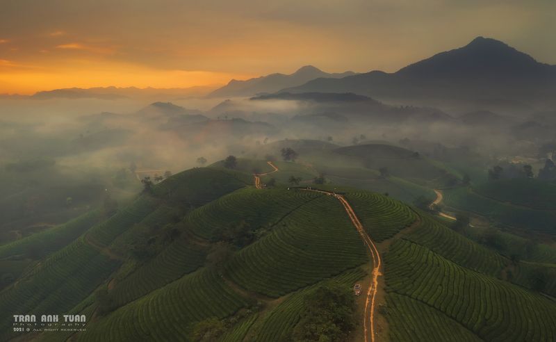 Asian, Vietna,. Ladscape, Dawn, Sky, Drone, Dji Mavic 2 pro  The dawn at Long Coc tea hillphoto preview