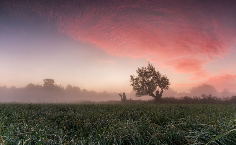 sunrise, fields, morning, mist, tree, abadoned, old, clouds, red, sky The dragon\'s breezephoto preview