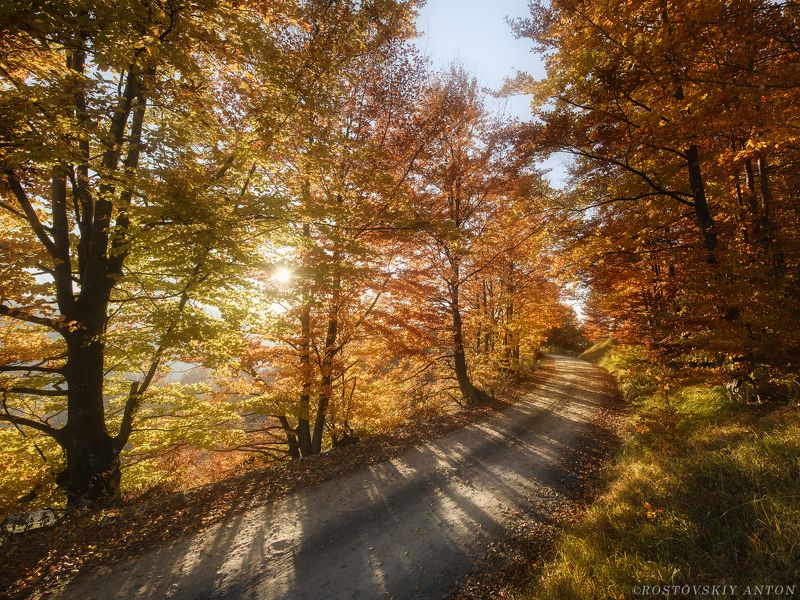 осень, фототур, жёлтый, пейзаж, дорога,  Осеннее Настроение | фототур в Серибюphoto preview