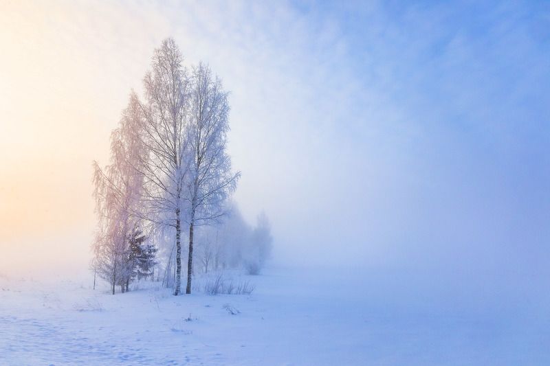 пейзаж, зима, мороз, туман, снег Февральский туманphoto preview