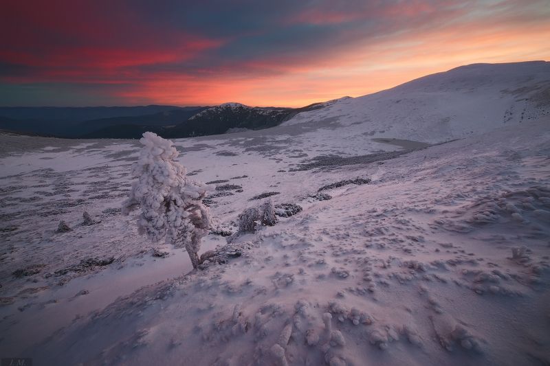 горы, рассвет, Карпаты, снег, холод, дерево, пейзаж, Carpathians, mountains, dawn, cold, morning, frozen, tree, red, clouds, landscape Frozen ..photo preview