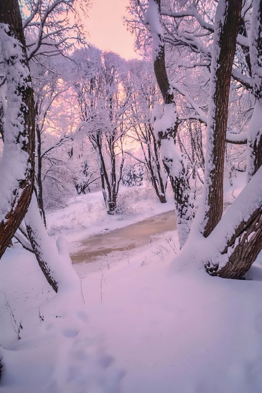 пейзаж, природа, nature, landscape, winter, зима, лес, forest, закат, sunset ***photo preview