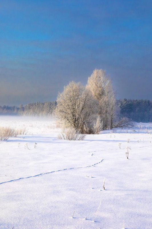 пейзаж, природа, день, зима ***photo preview