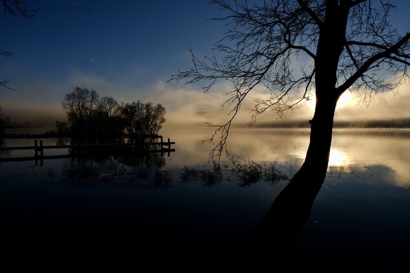 Landscape, nature, lake, water, fog, mist, sunrise, tree, reflection, mood,  У озераphoto preview