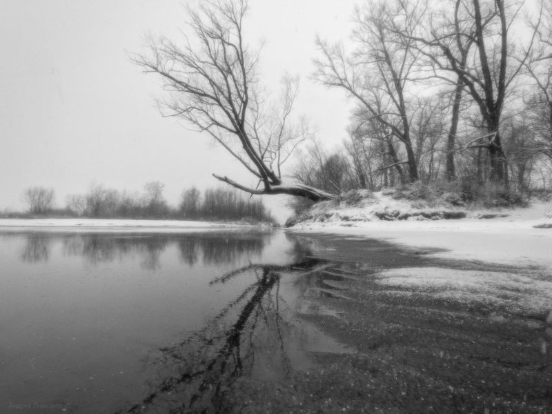 зима, пейзаж, река, снег, дерево ***photo preview