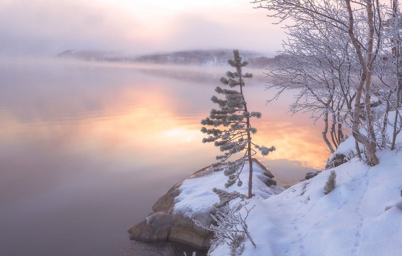 Зимнее утро на лесном озере!photo preview