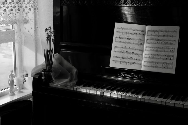 Black & White, still life, piano, old, plant, light, shadow, music, mood, memories, window,  Старое пианиноphoto preview