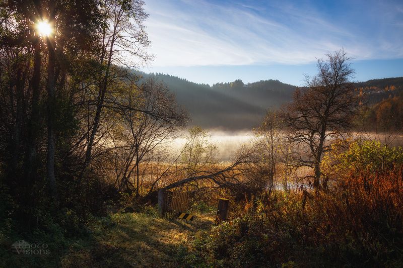 autumn,lake,tree,norway,morning,fog,sunrise, Autumnal worldphoto preview