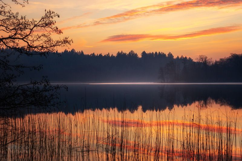 sunset,light,reflections,lake,shore,poland,woodland,forest,winter, Pastel Sunsetphoto preview