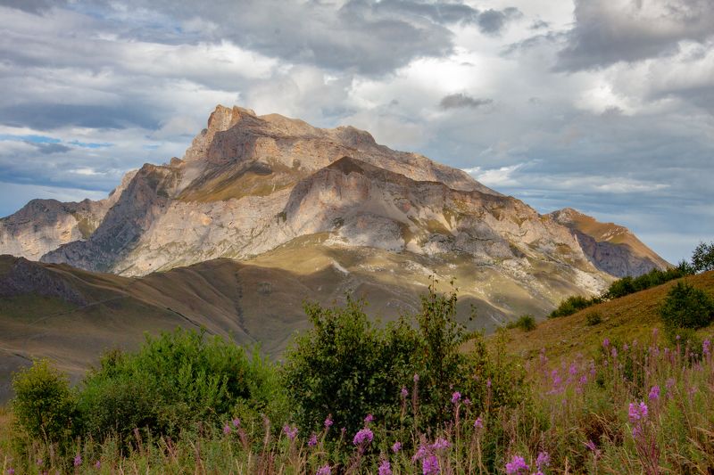 Природа, горы, пейзаж Горные лугаphoto preview