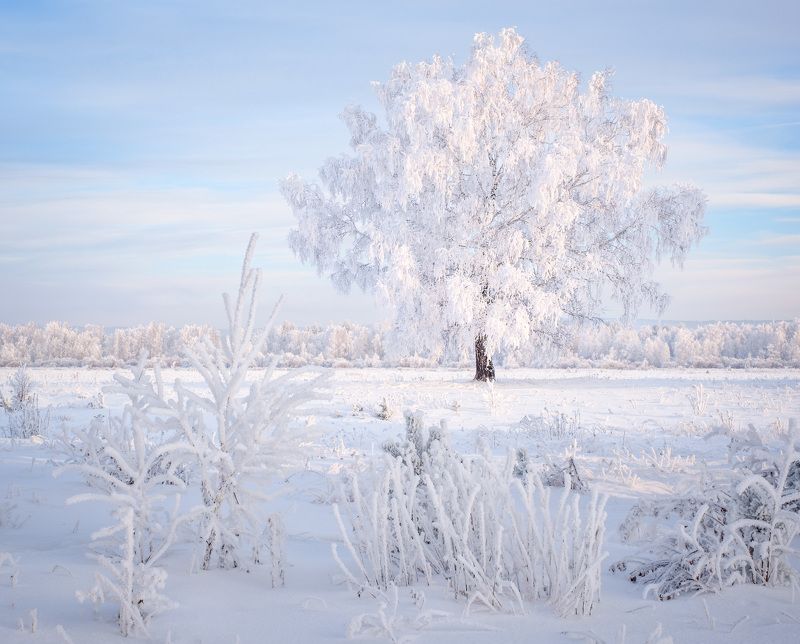 зима, зимний пейзаж, пейзаж ,снег, сибирь, мороз, winter, fujifilm ***photo preview