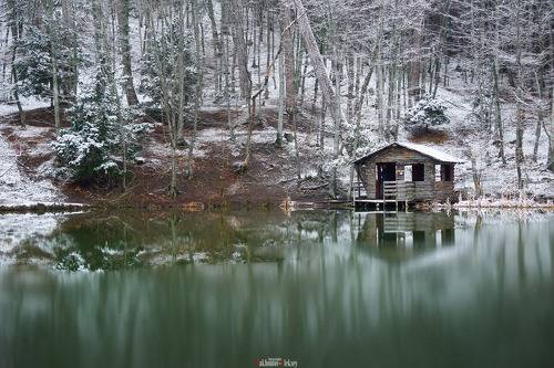 Winter lake in the forest