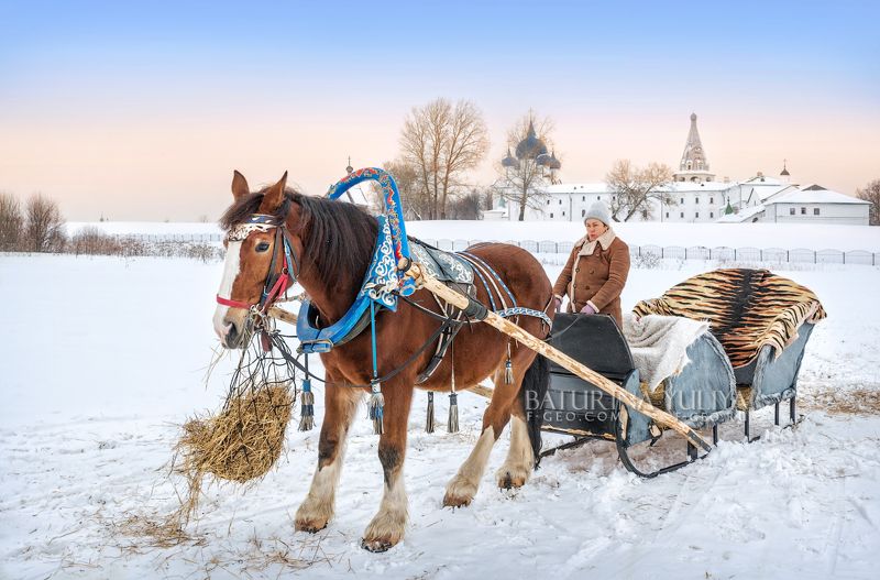 суздаль, сани, кремль, лошадь Лошадкаphoto preview
