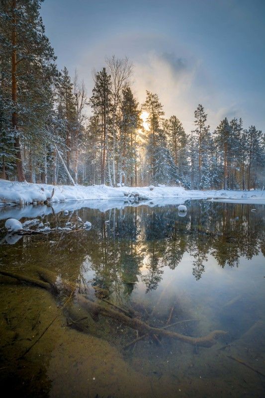 зима лес озеро солнце Зимняя прозрачностьphoto preview