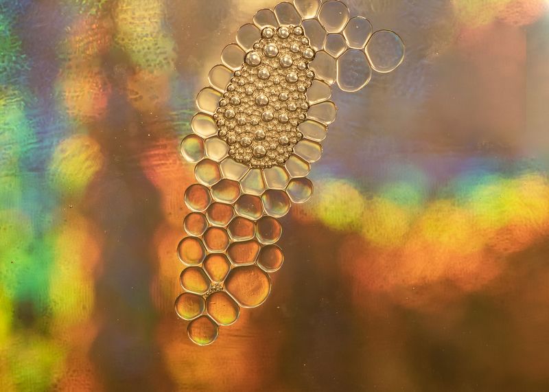 abstract,liquid,art,water,droplet,oil,makro,closeup oil and waterphoto preview