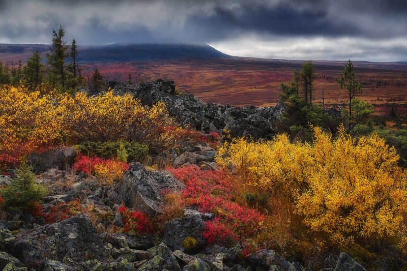 Осень над плато Кваркушphoto preview