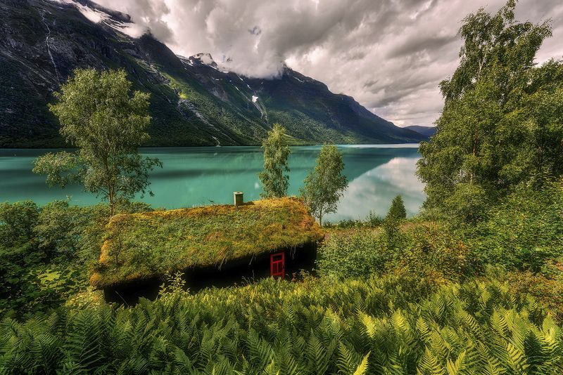 Hut by The Fiord