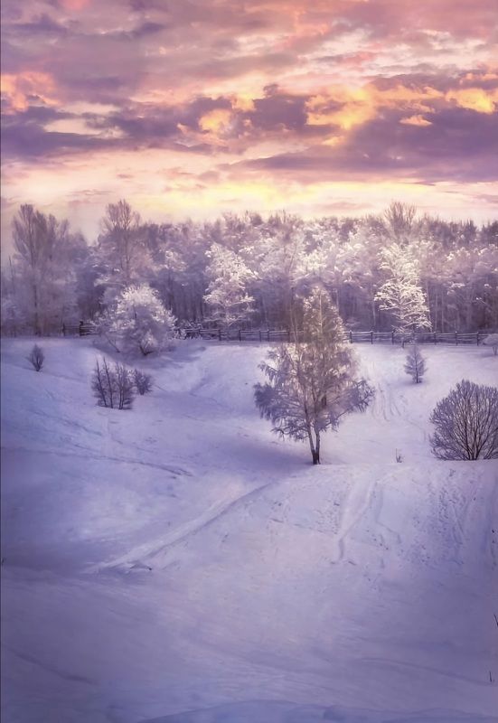 пейзаж, природа, nature, landscape, winter, зима, закат, sunset ***photo preview
