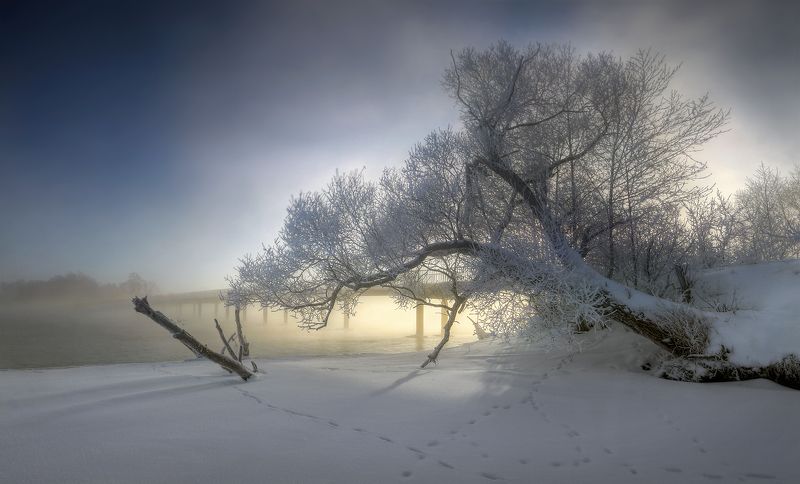зима снег озеро Шатура Подмосковье природа Последнее дыхание зимы..photo preview