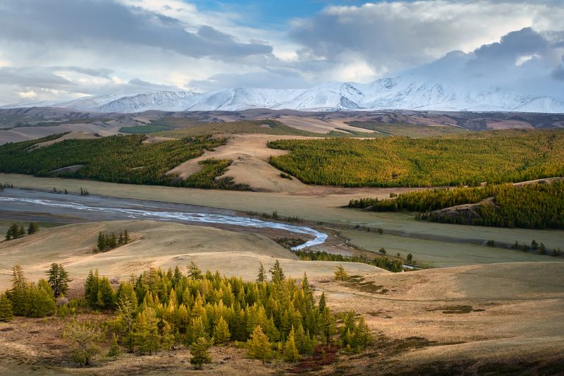 Покажи республику. Республика Тыва Тайга. Красоты тувинской тайги. Красивые картинки тувинской тайги. Монгун-Тайга рассвет.