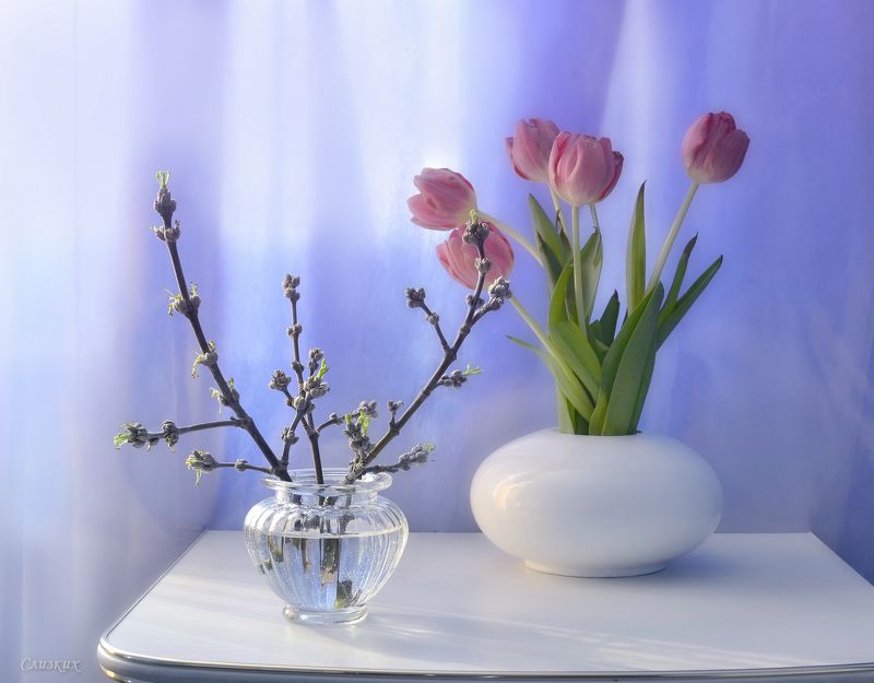 натюрморт,композиция,свет,весна,тюльпаны Весна на тумбочкеphoto preview