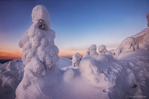 Зимняя красота Северного края